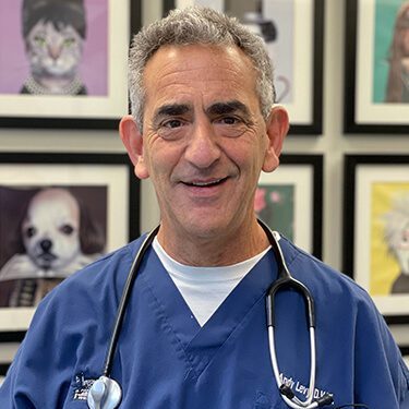 Dr. Levy
